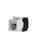 Conector Hembra RJ45 CAT-6 UTP Toll Free