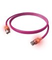 Latiguillo Cat.6A S/FTP Violeta DualBoot LED (Varias medidas)