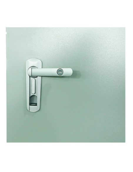 Rack mural 19" IP65 6U Fondo 450 con TEJADILLO puerta