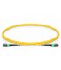 Latiguillo MTP H-MTP H 12FO SM G657A2 Longitud 15mt.