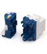 Conector Hembra RJ45 CAT6 UTP Sin Herramienta Tipo Legrand