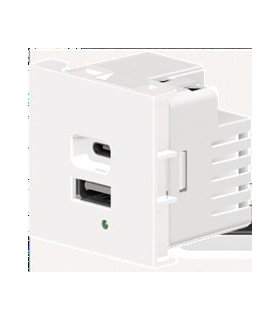Cargador USB de doble puerto A+C, Blanco. Potencia de salida total: 21W (5V/4.2A), con terminales de tornillo