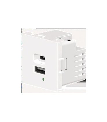 Cargador USB de doble puerto A+C, Blanco. Potencia de salida total: 21W (5V/4.2A), con terminales de tornillo