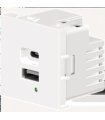 Cargador USB de doble puerto A+C, Blanco. Potencia de salida total: 21W (5V/4.2A), con terminales de tornillo