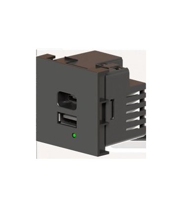 Cargador USB de doble puerto A+C, Gris. Potencia de salida total: 21W (5V/4.2A), con terminales de tornillo