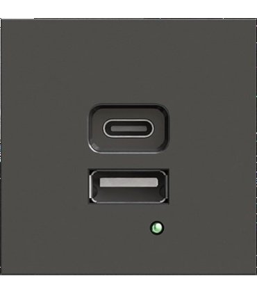 Cargador USB de doble puerto A+C, Gris