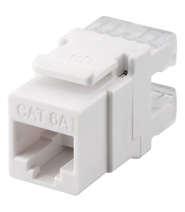 Conector hembra RJ45 CAT6A UTP ecónomico para panel - Ángulo 180