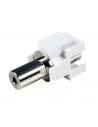 Adap. KEYSTONE Mini-JACK 3,5mm Hembra/Hembra estereo