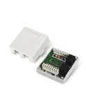 Roseta de superficie con 2 conectores RJ45 CAT.6 UTP.
