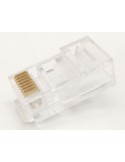 Conector RJ45 CAT6 UTP cable rígido pasante