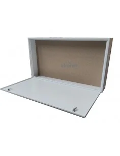 Armario ICT Registro Secundario 550X1000X150